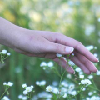 表示亲情的句子唯美句子 1