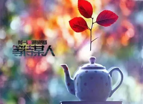 说说简单气质一句话 2