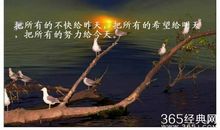 描述生活态度的句子