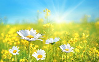 11.不要考虑明天，今天或昨天。我丢掉了所有烦人和嘈杂的东西！