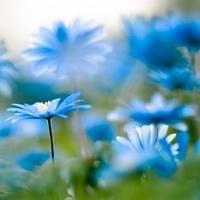 写五句亲情的句子