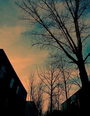 追女孩子早晨问候短信 1