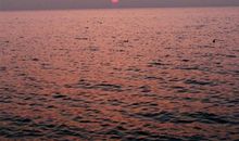 关于回忆亲情的短句子说说心情短语