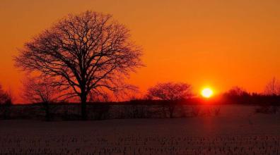 对老公失望看透的句子 1