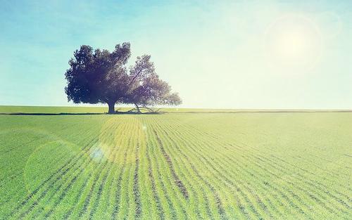 亲情早安句子说说心情短语 2