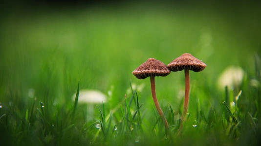 形容清晨的句子 1