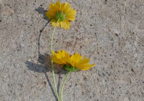 2020致自己奋斗的励志句子大全 激励自己的经典语录 1