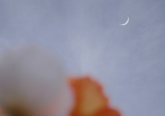 2020致自己奋斗的励志句子大全 激励自己的经典语录 2