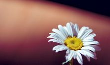 写亲情成长经典句子