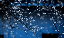 雨下得让人心烦的句子