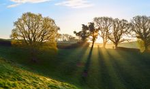 励志好句子大全