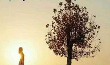 致自己的励志好句 直戳人心的句子