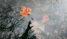 对女生失望的句子