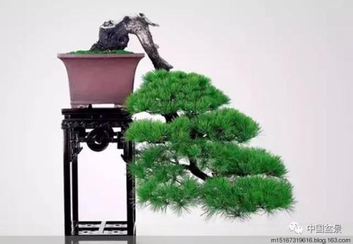 坚持不懈的座右铭2