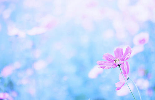 好的亲情的句子说说心情 2