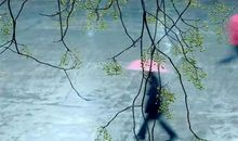 顾漫经典语录大全