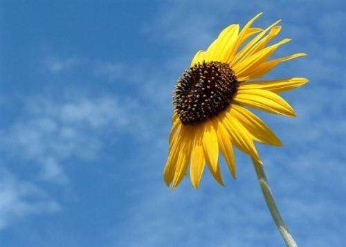 有关美好的句子 2