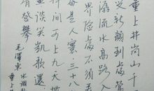 表现诗人热爱祖国的诗句