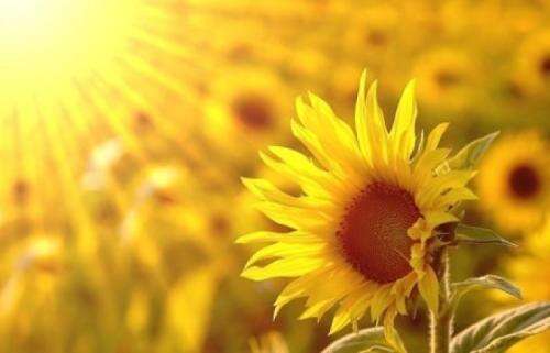 有关美好的句子 1