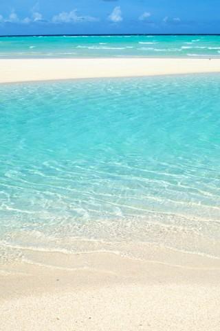 写亲情的句子现代诗 2