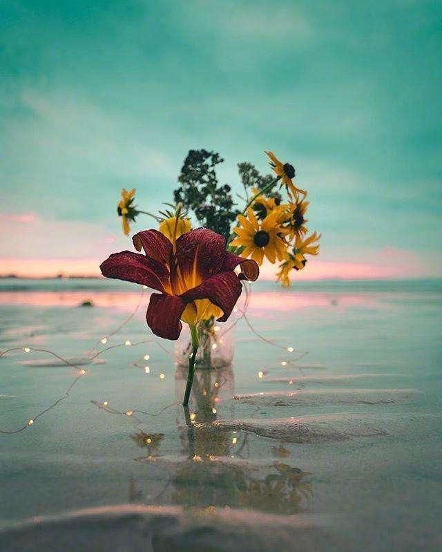 早起励志句子图片1