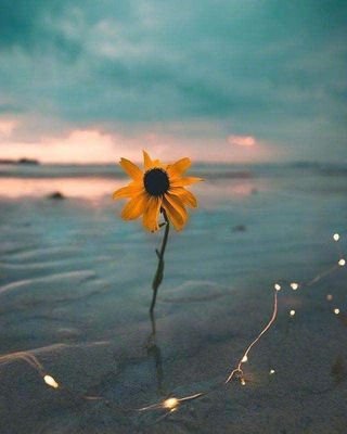 雨天客户问候短信 2