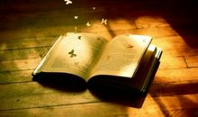 语句优美的句子