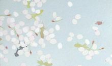 写亲情的句子现代诗