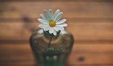 注重亲亲情的句子