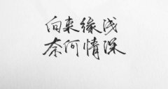 伤感句子句句心痛2016 6