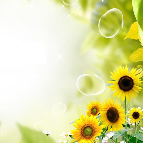 三年级描写亲情的句子 2