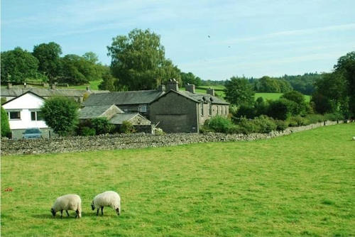 关于亲情的唯美句子简短 1