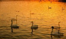 霸气适合女汉子的句子