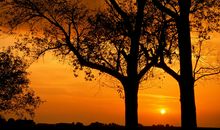 黄昏的优美句子