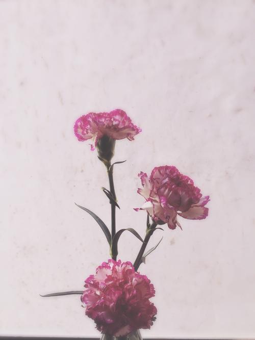 比较好的座右铭 2