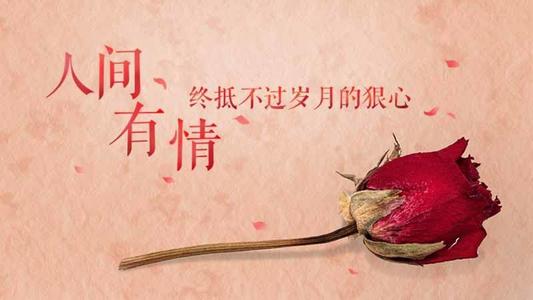 关于甜美的句子