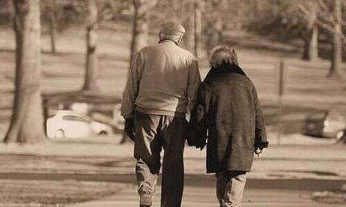 对婚姻失望看透的句子