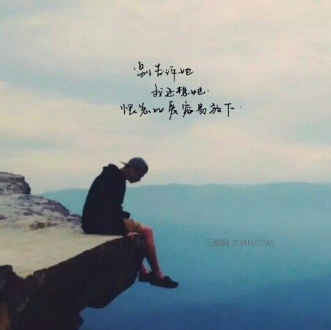 在线经典情感语录