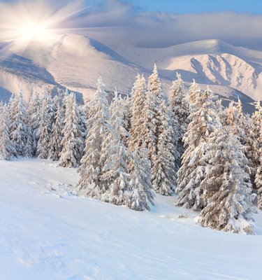 9.长云中有淡淡的诗句，充满欢乐的淡淡诗词，以我温柔的问候充满欢乐！