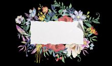 深深友谊开心的句子