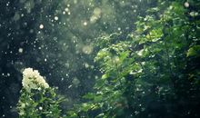 生病下雨心烦的说说句子