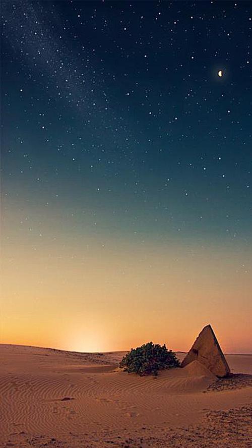 美丽而安静的句子