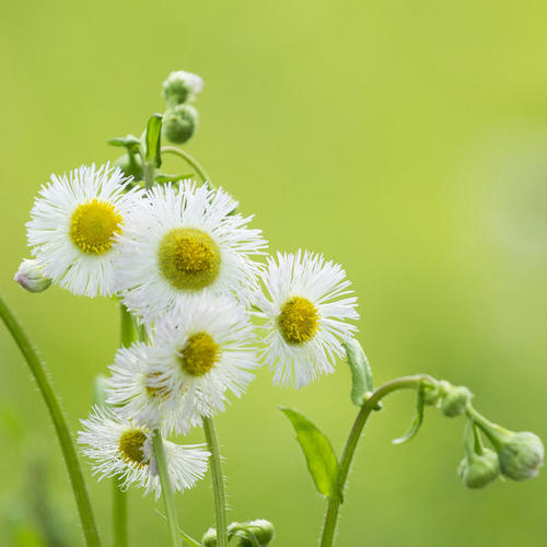 关于亲情美好的句子说说心情短语 1