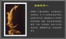 哈佛大学经典语录