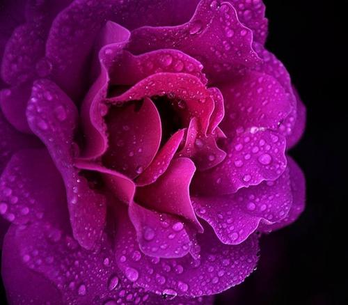 古诗里温暖亲情的句子 1