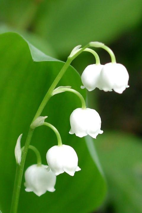 古诗里温暖亲情的句子