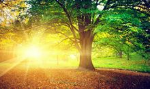 精英小组口号大全