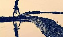 迷失自己的句子