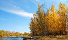 写自己心烦失眠的句子