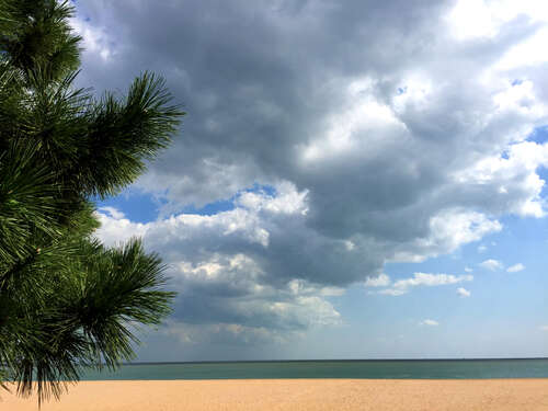 10.将真实的情感变成灯塔，陪伴您走出黑暗；把友谊变成温暖的风，陪伴您度过严寒。将真实的感情和友谊融入短信中，然后直接发送到您的身边，为您带来这个冬天最温暖的问候。祝您的朋友健康快乐！